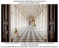 illusion (2)