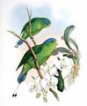 palette_a_couronne_bleue