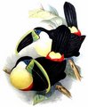 toucan_a_gorge_citron