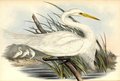 heron_intermediaire