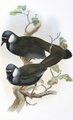 garrulaxe_a_joues_blanches