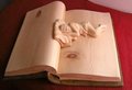 livres-bois (29)