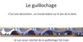 couteaux (28)