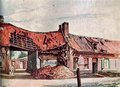 Schicklgruber(17)